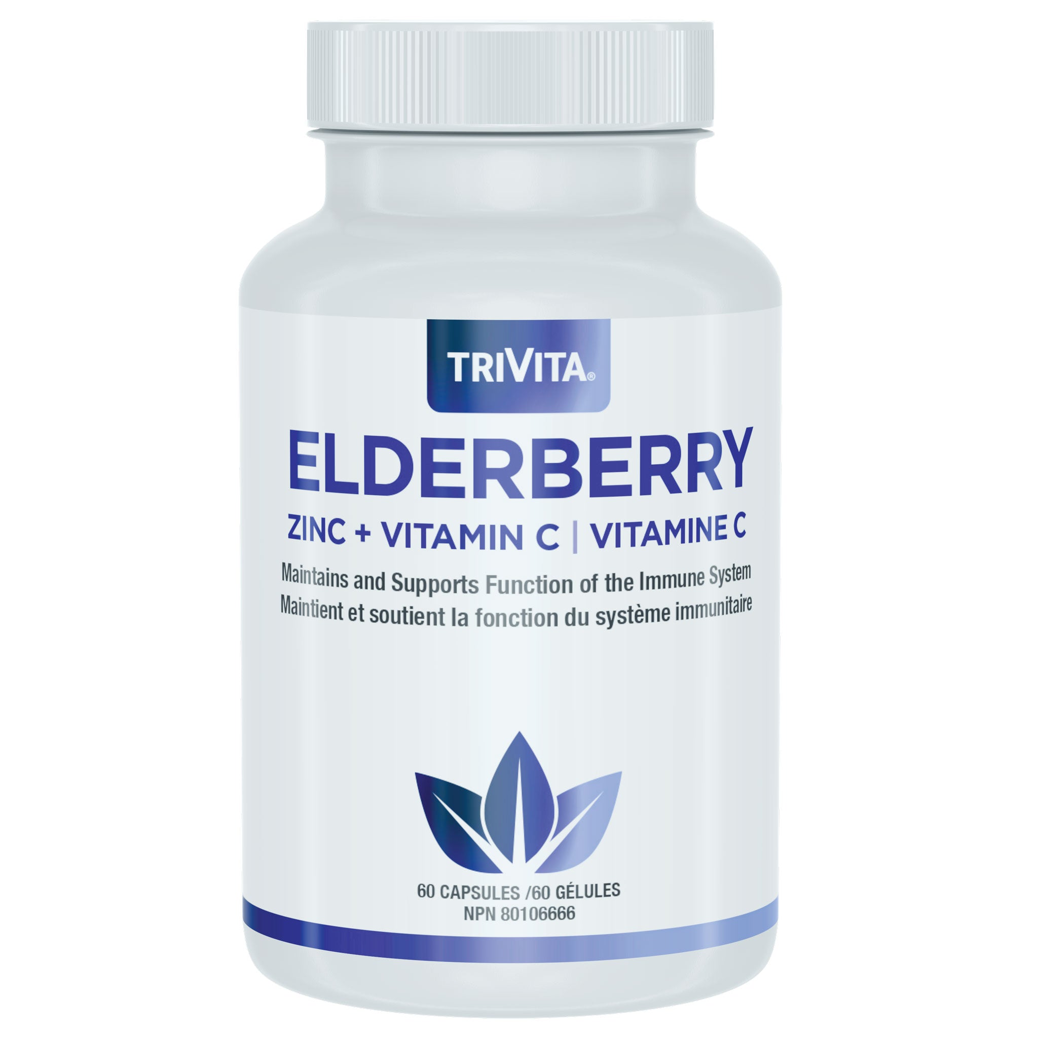 Elderberry
